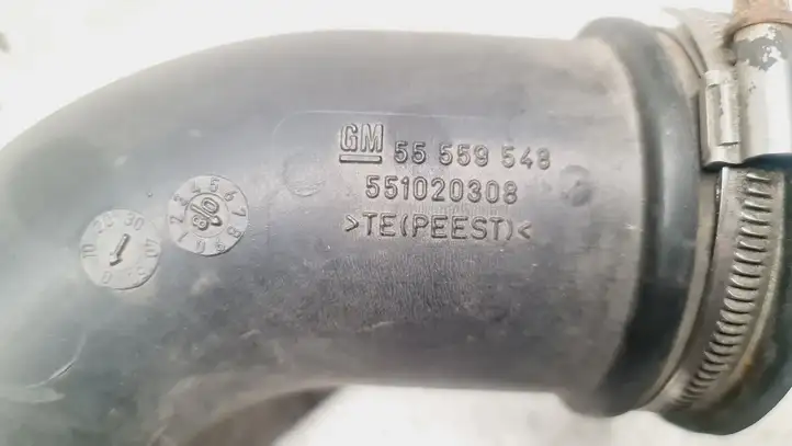 Opel Astra H (2004 - 2009) 55559548 Трубка подачи воздуха — фото 3