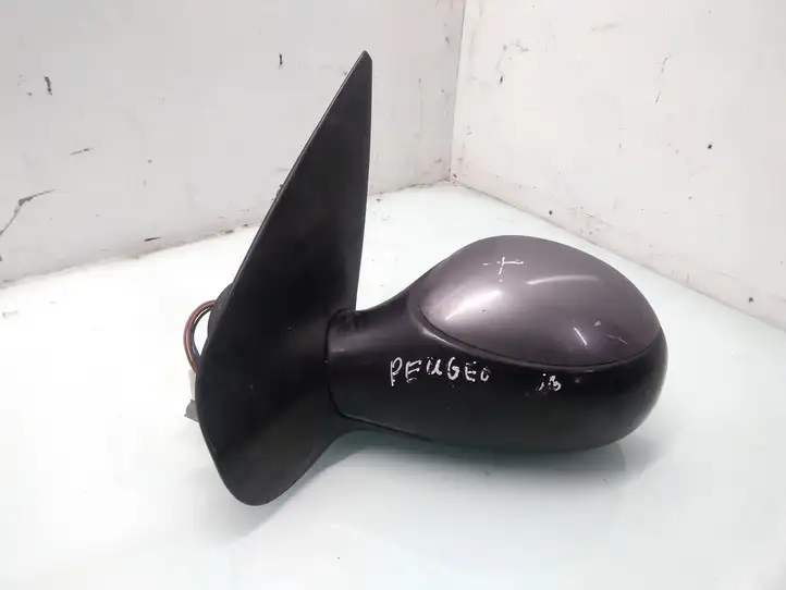 Peugeot 206 (1998 - 2012) E2018015 Боковое зеркало с электроприводом — фото 3