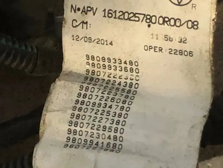 Citroen C4 Grand Picasso (2013 - 2016) 1612025780 Прочая электропроводка — фото 4