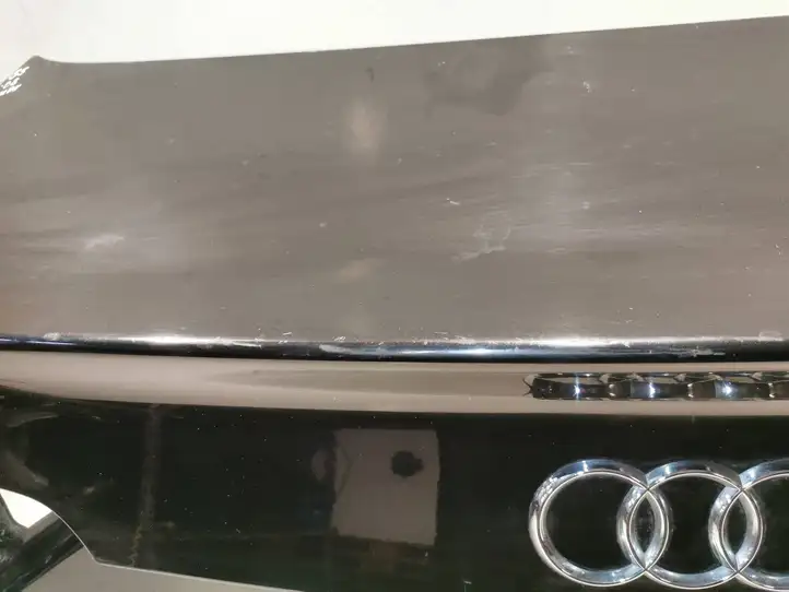 Audi S5 8T (2007 - 2011) 4E0827645A Крышка багажника — фото 3