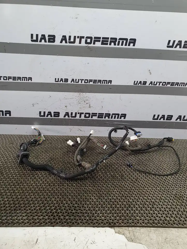 Nissan Qashqai (2013 - 2017) 241244EA1D Проводка передней двери — фото 1