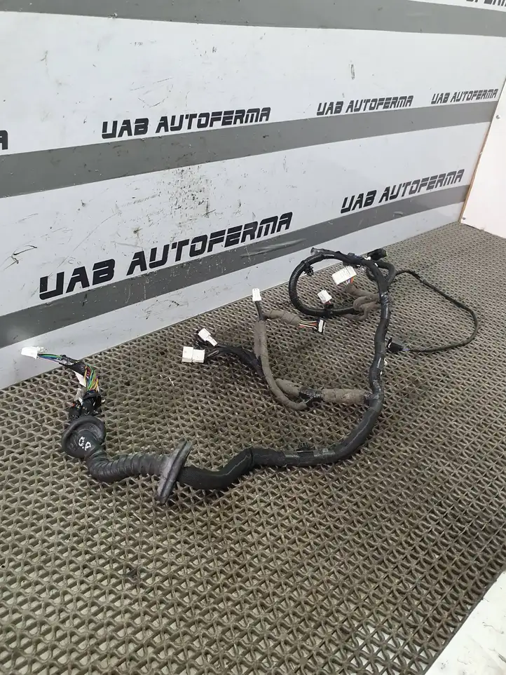 Nissan Qashqai (2013 - 2017) 241244EA1D Проводка передней двери — фото 2