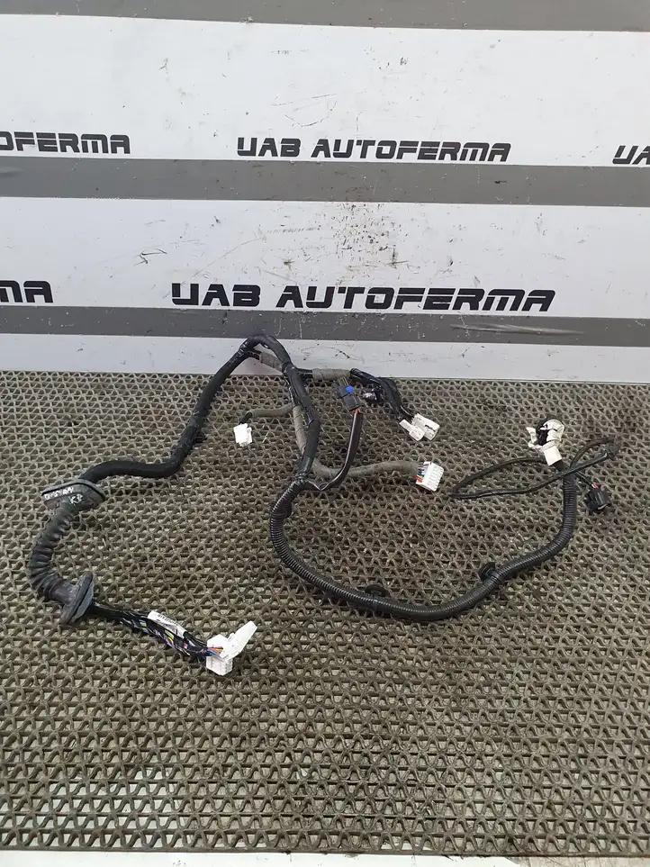 Nissan Qashqai (2013 - 2017) 241254EA1D Проводка передней двери — фото 2