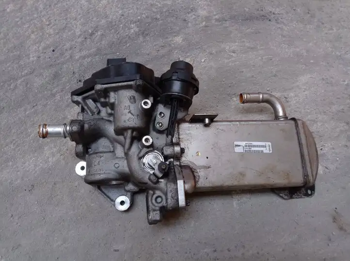 Seat Exeo (3R) (2008 - 2013) V29009967 Охладитель клапана EGR — фото 1