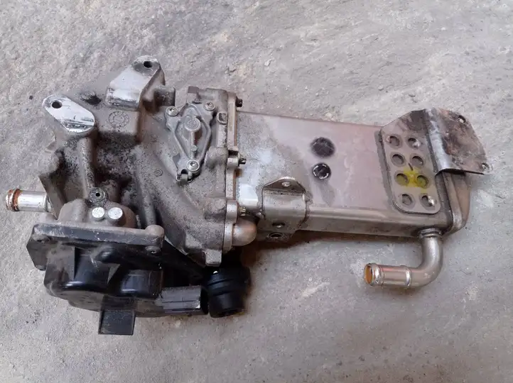 Seat Exeo (3R) (2008 - 2013) V29009967 Охладитель клапана EGR — фото 2