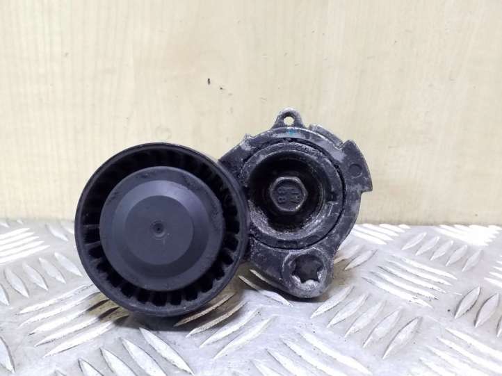 96440419 Chevrolet Captiva Diržo įtempėjas