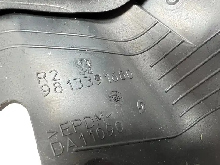Peugeot 508 II (2018 - ) 9813391680 Уплотнитель стекла задней двери — фото 8