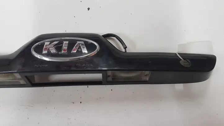 Kia Sportage (2004 - 2008) 925011F0 Подсветка номера — фото 7