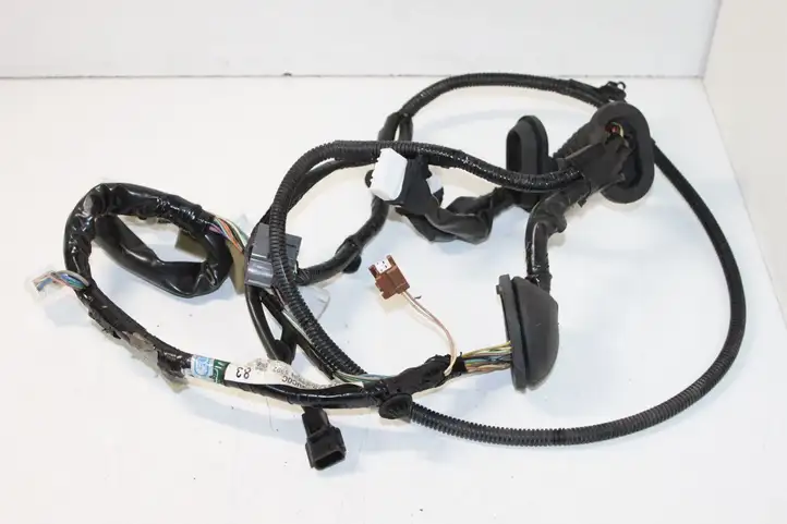 Nissan X-Trail T31 (2007 - 2014) 241253UC0C Проводка передней двери — фото 5