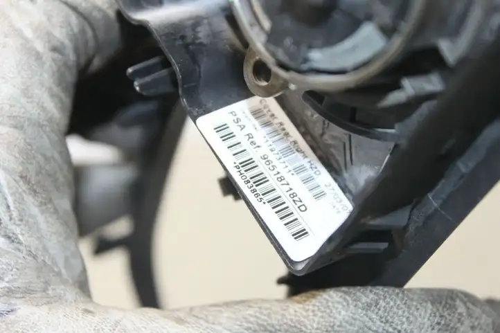 Citroen C6 (2005 - 2012) 96518718ZD Накладка динамика задней двери — фото 4