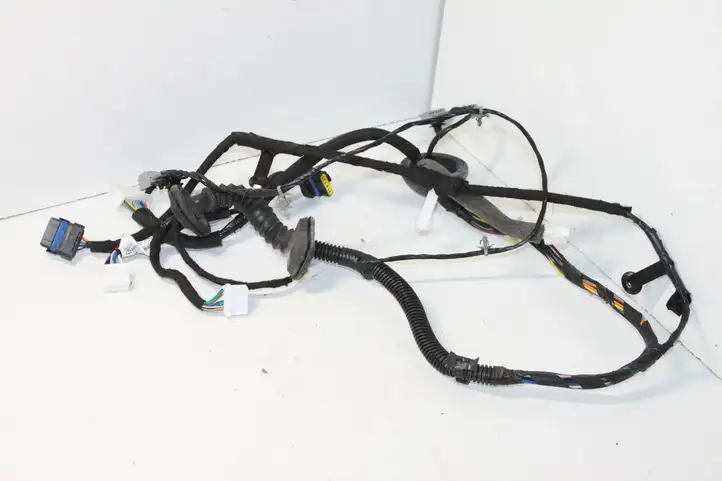 Nissan Qashqai (2006 - 2010) 24124JD11B Проводка передней двери — фото 6