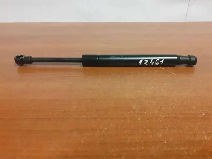 BMW X6 E71 (2008 - 2014) 9149120 Амортизатор крышки багажника — фото 5