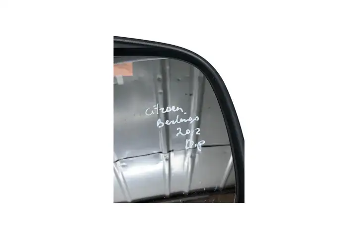 Citroen Berlingo (2003 - 2007) 232673076 Боковое зеркало с электроприводом — фото 6