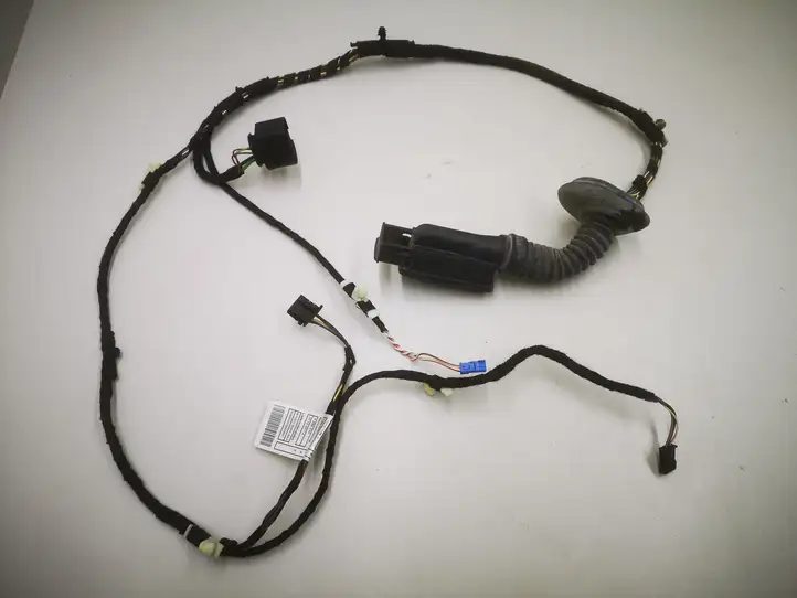 BMW 3 F30 F35 F31 (2012 - 2018) 928624901 Проводка задней двери — фото 1