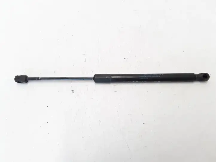Renault Megane III (2009 - 2016)  904510001R Амортизатор крышки багажника