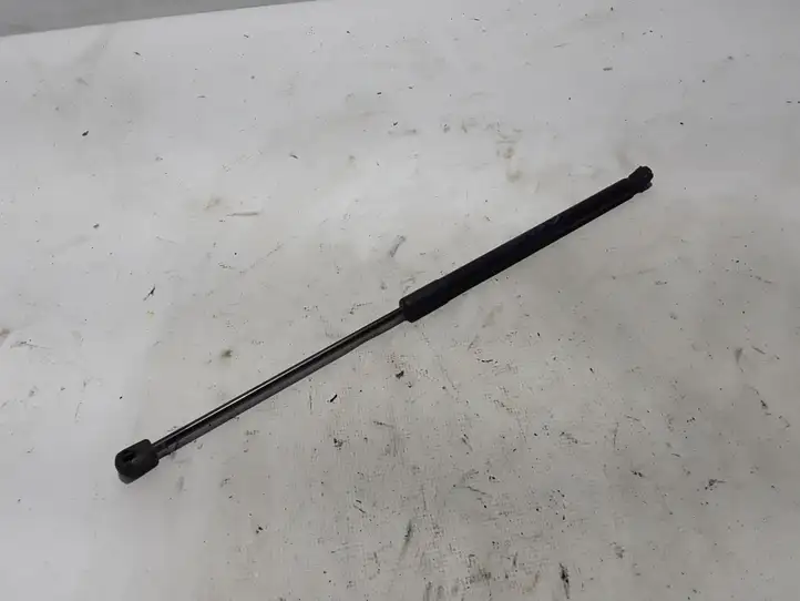 Ford Fiesta (2017 - ) H1BBA406A10AE Амортизатор крышки багажника — фото 2