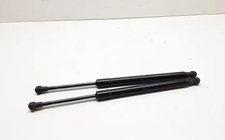 BMW 3 E90 E91 (2005 - 2012) 51247250308 Амортизатор крышки багажника — фото 1