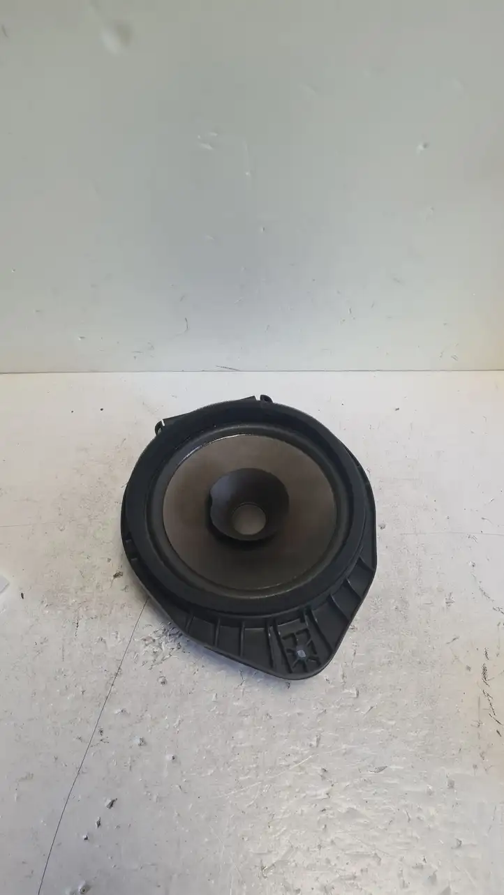 Opel Insignia A (2008 - 2017)   Громкоговоритель (громкоговорители) в передних дверях