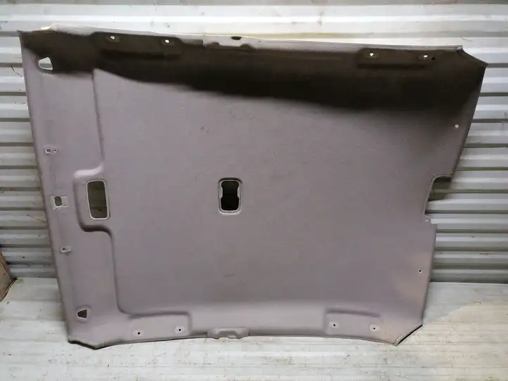 Toyota Prius (XW10) (1997 - 2003) Потолочная обшивка — фото 3
