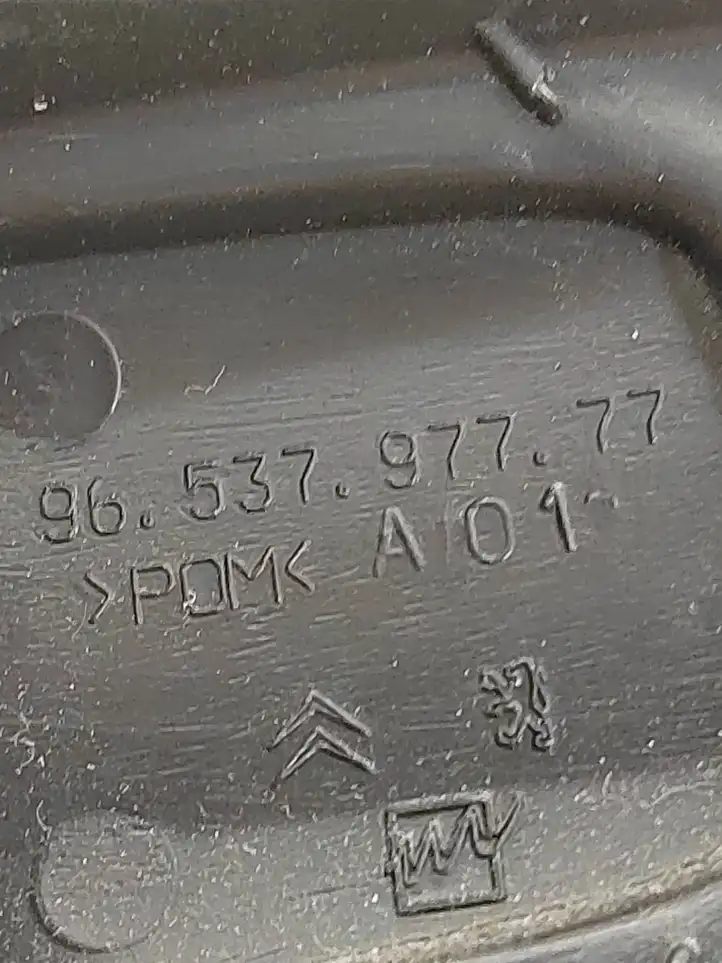 Peugeot 207 (2006 - 2009) 9653797777 Ручка стеклоподъемника — фото 2