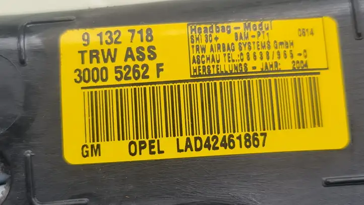 Opel Zafira B (2003 - 2006) 9132718 Боковая подушка безопасности шторка — фото 4