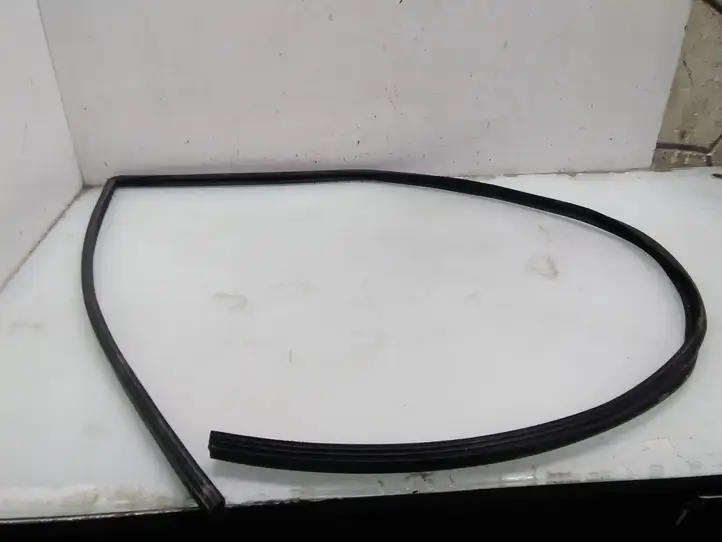 Land Rover Discovery 3 - LR3 (2004 - 2009) Уплотнитель стекла передней двери — фото 1