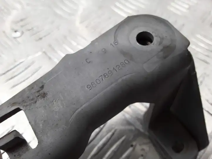 Peugeot 2008 I (2013 - 2019) 9807891280 Прочие детали моторного отсека — фото 2