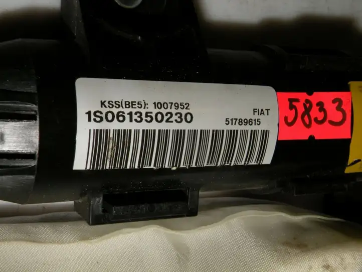 Fiat Croma (2005 - 2011)  51789615 Боковая подушка безопастности( (крыша)