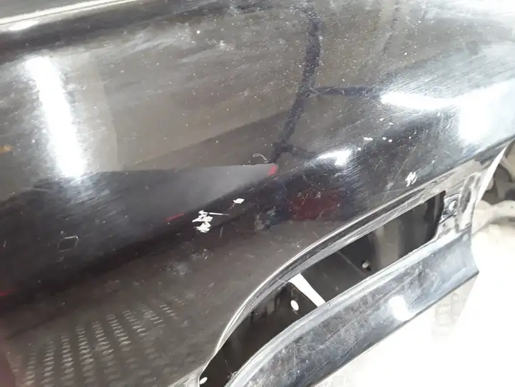 Kia Carnival (2006 - 2014) Дверь — фото 5