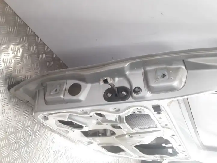 Peugeot Bipper (2008 - 2011) Дверь — фото 10