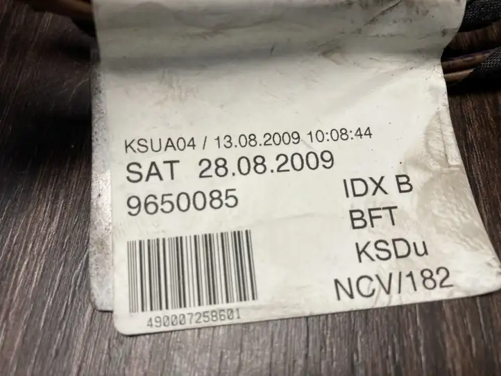 Mercedes-Benz Sprinter W906 (2006 - 2018) 9060005999 Проводка передней двери — фото 3