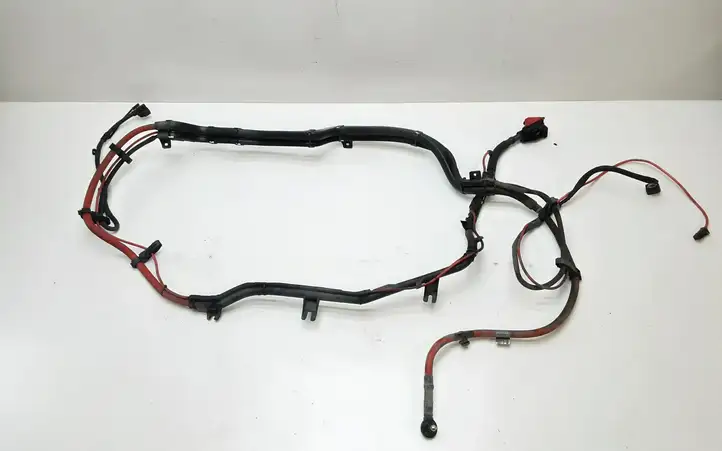 BMW X5 E70 (2006 - 2013) 6967184 Плюсовой провод аккумулятора — фото 1