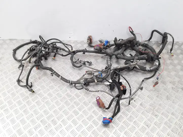 Fiat Croma (2005 - 2011) 51769863 Проводка двигателя — фото 1
