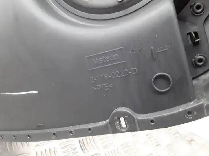Renault Clio III (2005 - 2012) 8200293860D Обшивка задней двери — фото 3