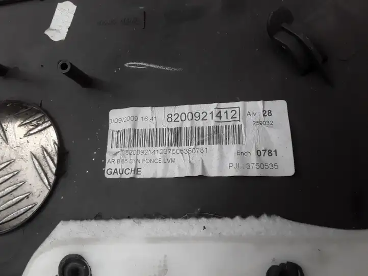 Renault Clio III (2005 - 2012) 8200293858G Обшивка задней двери — фото 5