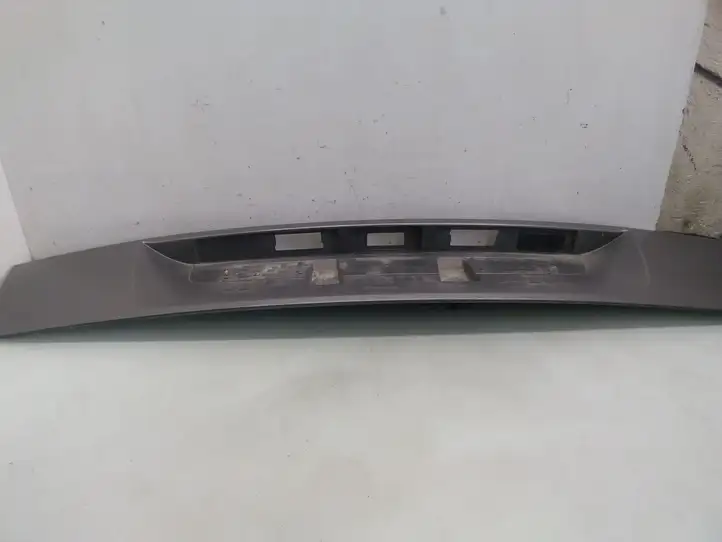 Renault Scenic II - Grand scenic II (2006 - 2009) Подсветка номера — фото 3