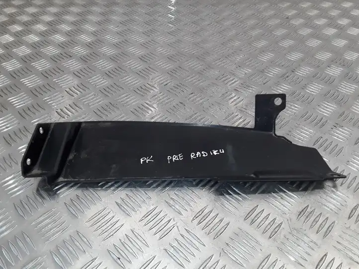 Nissan Qashqai (2006 - 2010) 62823JD72A Дефлектор воздуха — фото 4