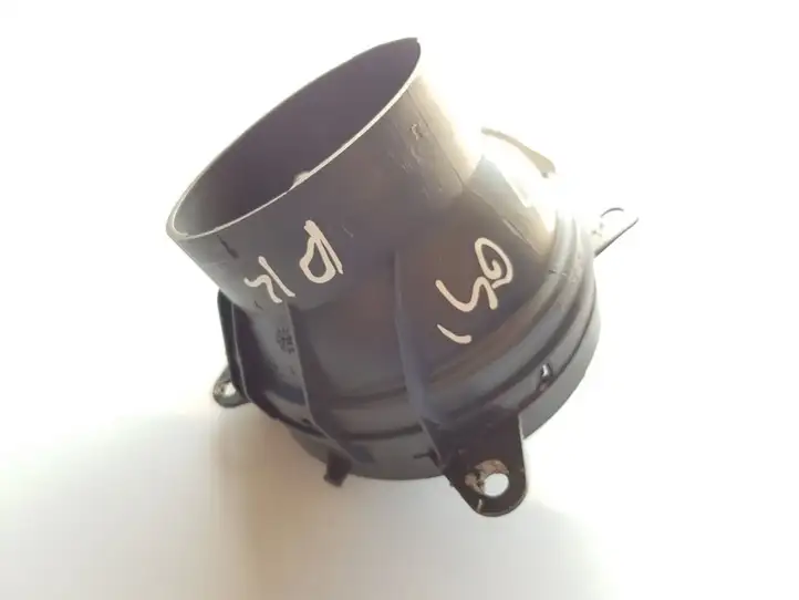Citroen C3 (2002 - 2009) 963800377 Боковой воздушный дефлектор — фото 4
