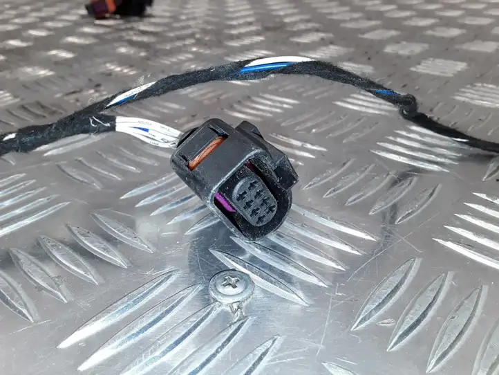 Volkswagen PASSAT CC (2012 - 2017) 3C8971120B Проводка передней двери — фото 6
