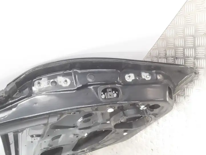 Renault Latitude (L70) (2010 - 2014) Задняя дверь — фото 8