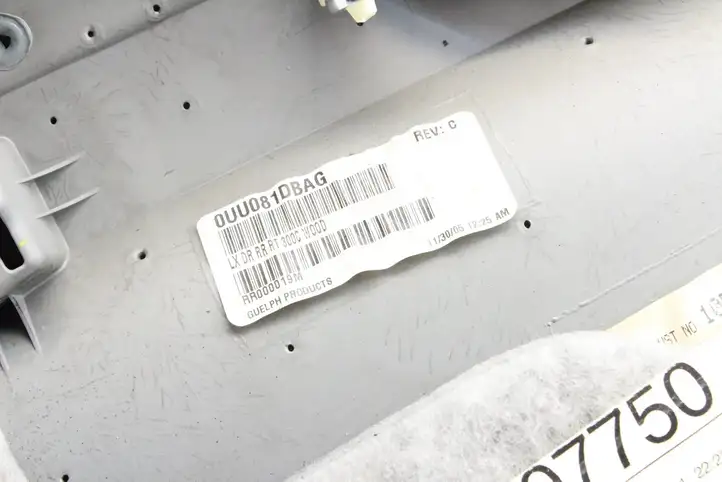 Chrysler 300 - 300C (2005 - 2011) 0UU081DBAG Обшивка задней двери — фото 3