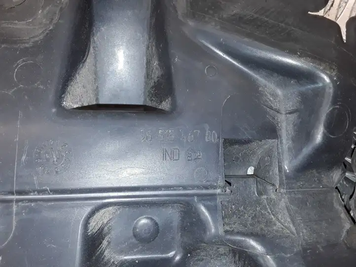 Peugeot 407 (2004 - 2011) 9651546780 Дефлектор воздуха — фото 4
