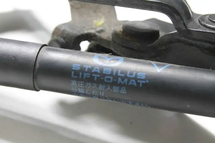 Mazda RX8 (2008 - 2011) Петли крышки багажника — фото 4