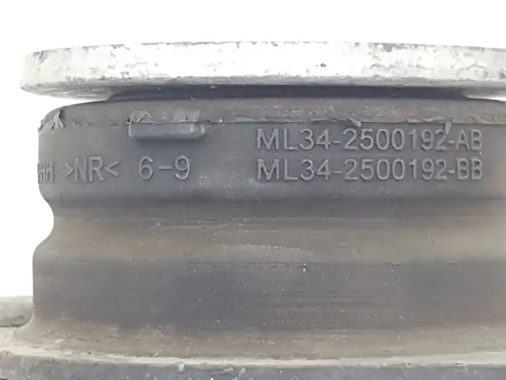 Ford F150 (2020 - ) ML342500192 Другая часть кузова — фото 4