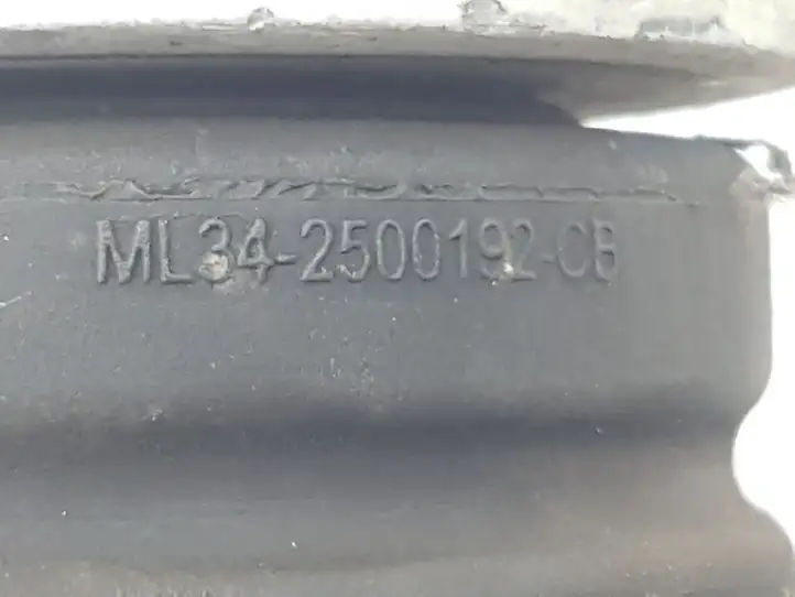 Ford F150 (2020 - ) ML342500192 Другая часть кузова — фото 5