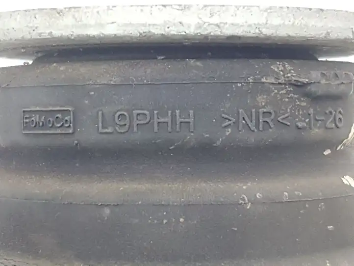 Ford F150 (2020 - ) ML342500192 Другая часть кузова — фото 6