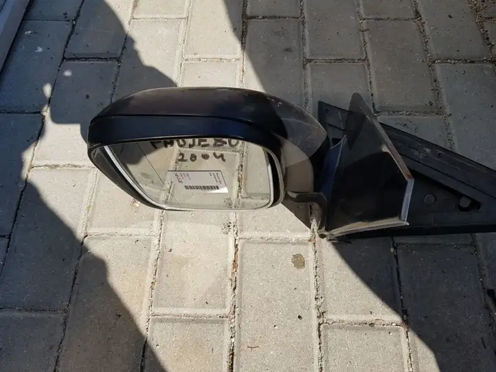Mitsubishi Pajero (1999 - 2003) Боковое зеркало с электроприводом — фото 1