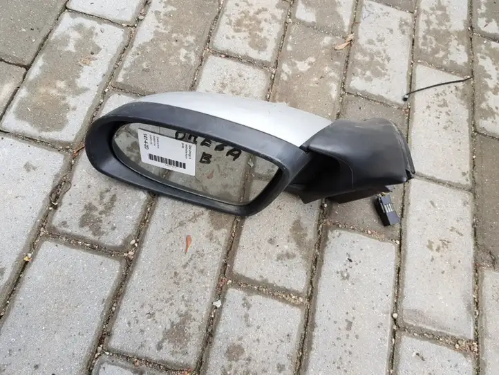 Opel Omega B2 (1999 - 2004) Боковое зеркало с электроприводом — фото 1