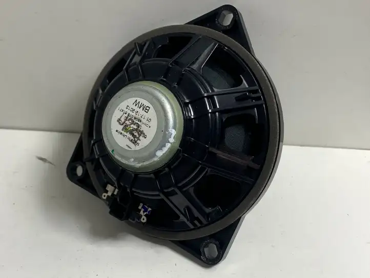 Mini Cooper Countryman R60 (2010 - 2016) 9804157 Динамики передних дверей — фото 3