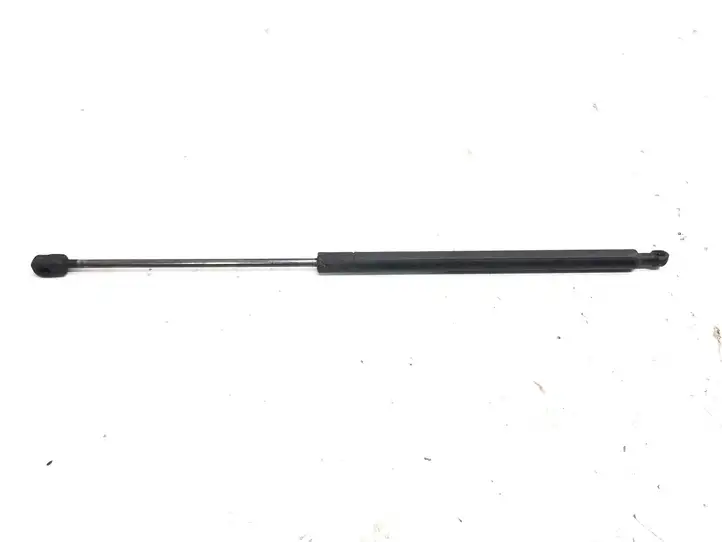 Hyundai Santa Fe (2000 - 2005) 9709LG Амортизатор крышки багажника — фото 1